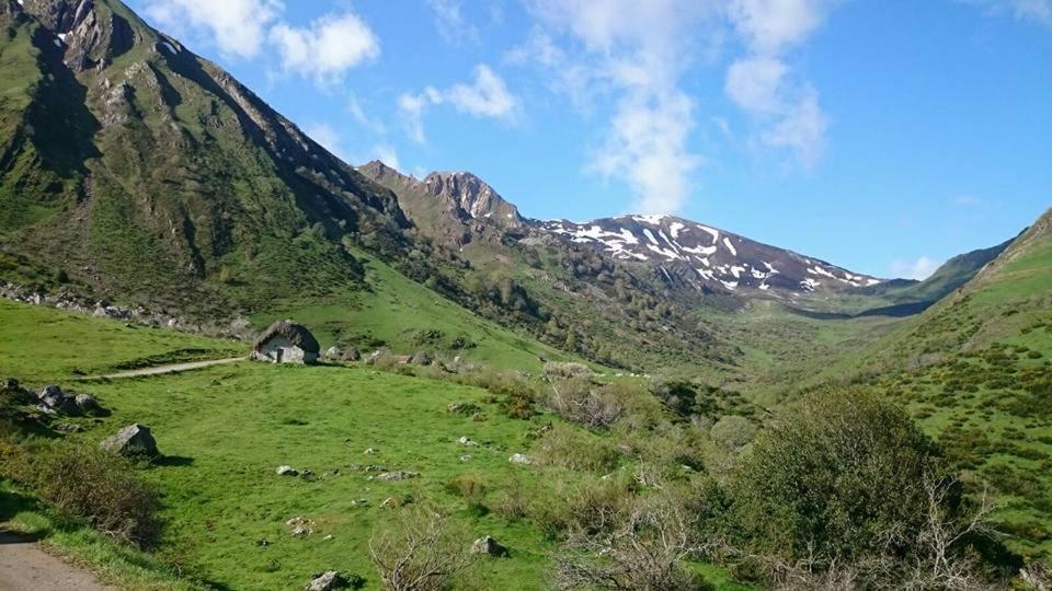 Nucleo De Turismo Rural La Corte Villar de Vildas Exterior foto